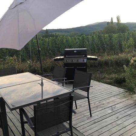 La Cle Du Vignoble Villa Mittelbergheim Eksteriør billede