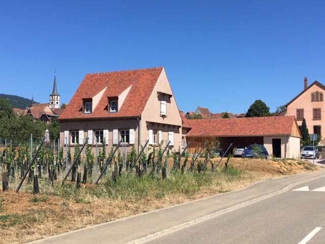 La Cle Du Vignoble Villa Mittelbergheim Eksteriør billede